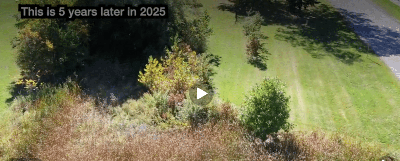 2025 video screenshot