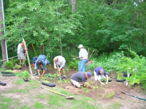 Pollinator planting by FOMC volunteers