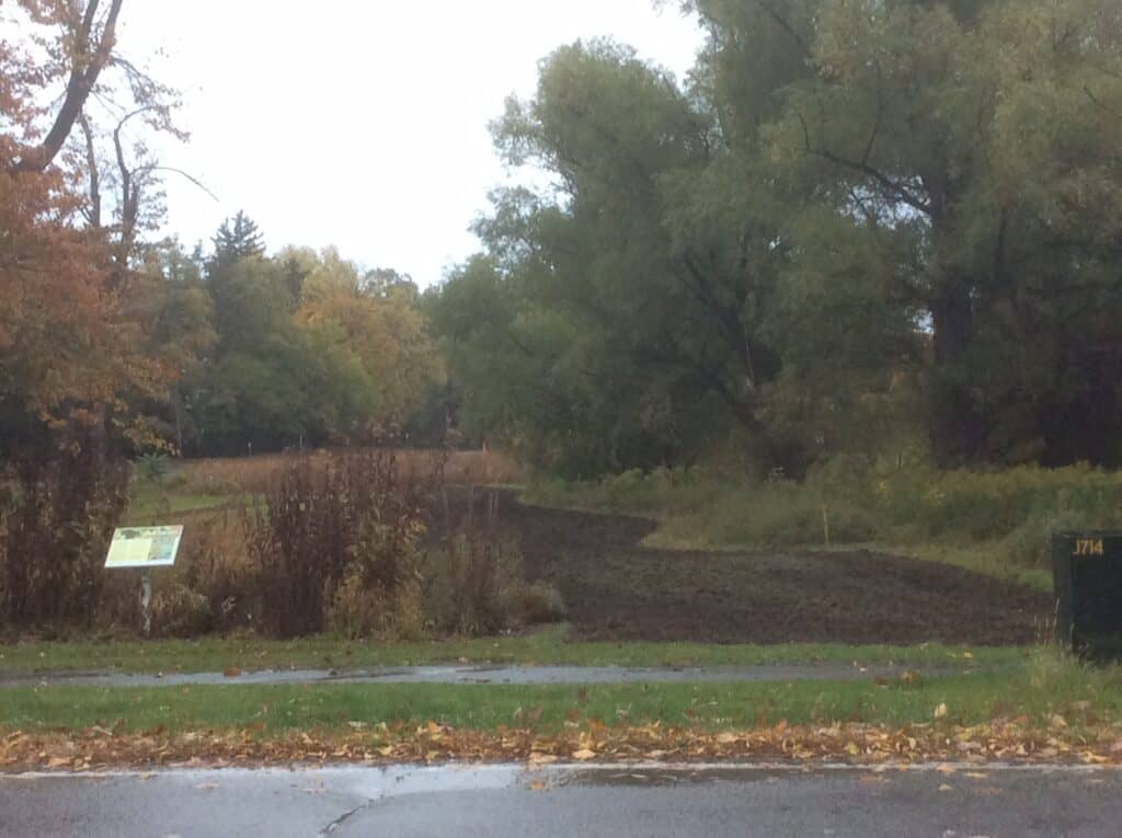 King and John park turf tilled for tree planting Oct 19 2020 IMG_2081