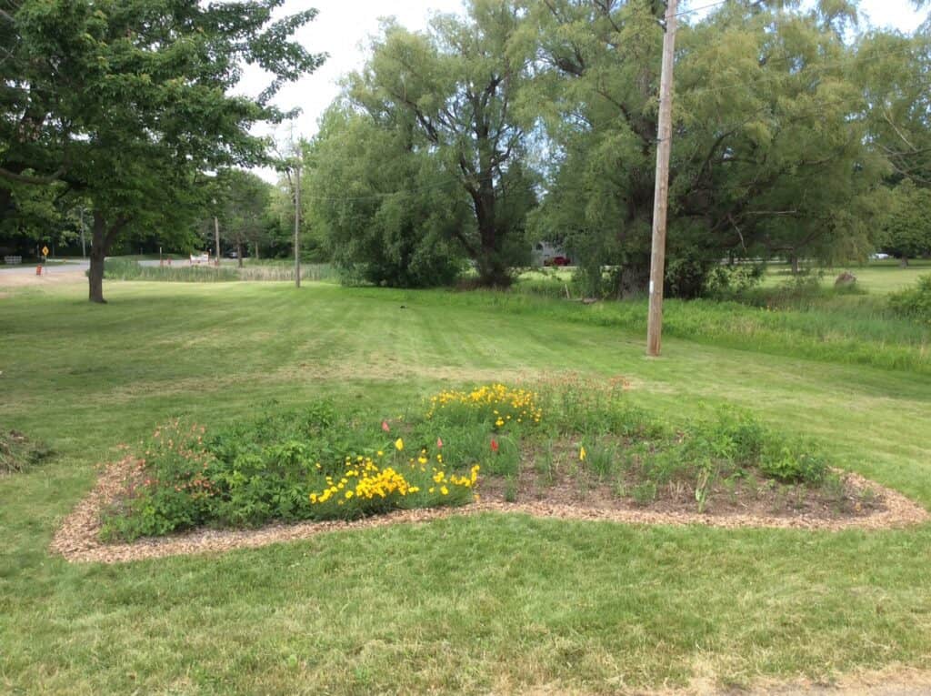 Garden at the beginning of the season after clean-up more plants added and mulching (2018)