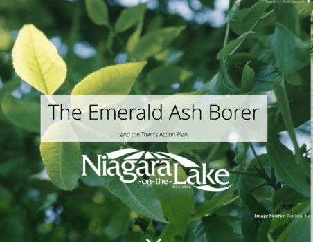 NOTL-site-emerald-ash-borer