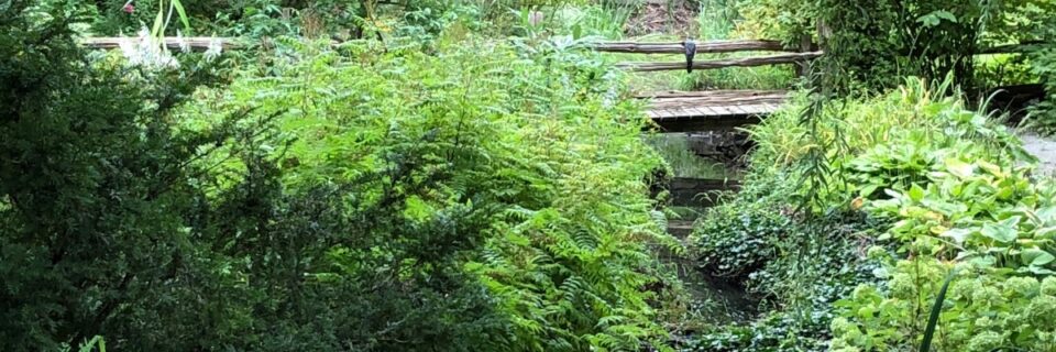 One-Mile-Creek-William-and-Gate