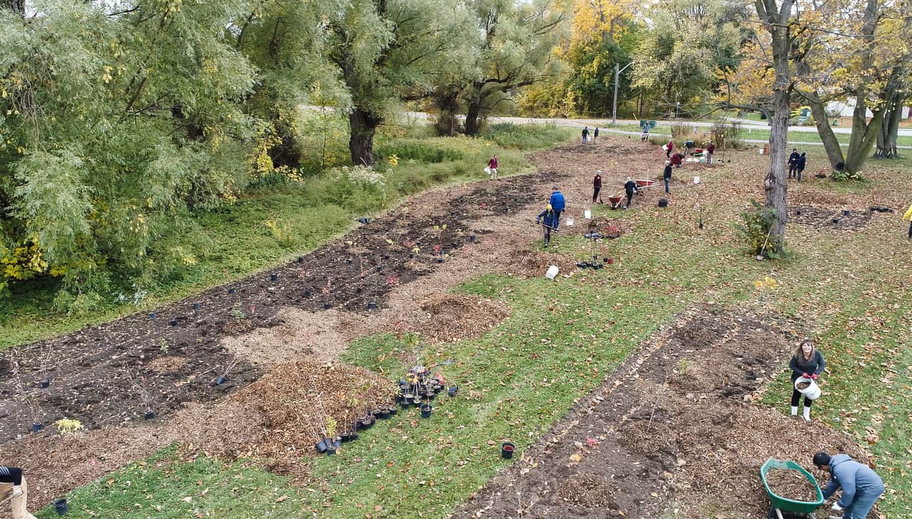 Oct 24 2020 tree planting of extended area along One Mile Creek. (Photo by René Bertschi)