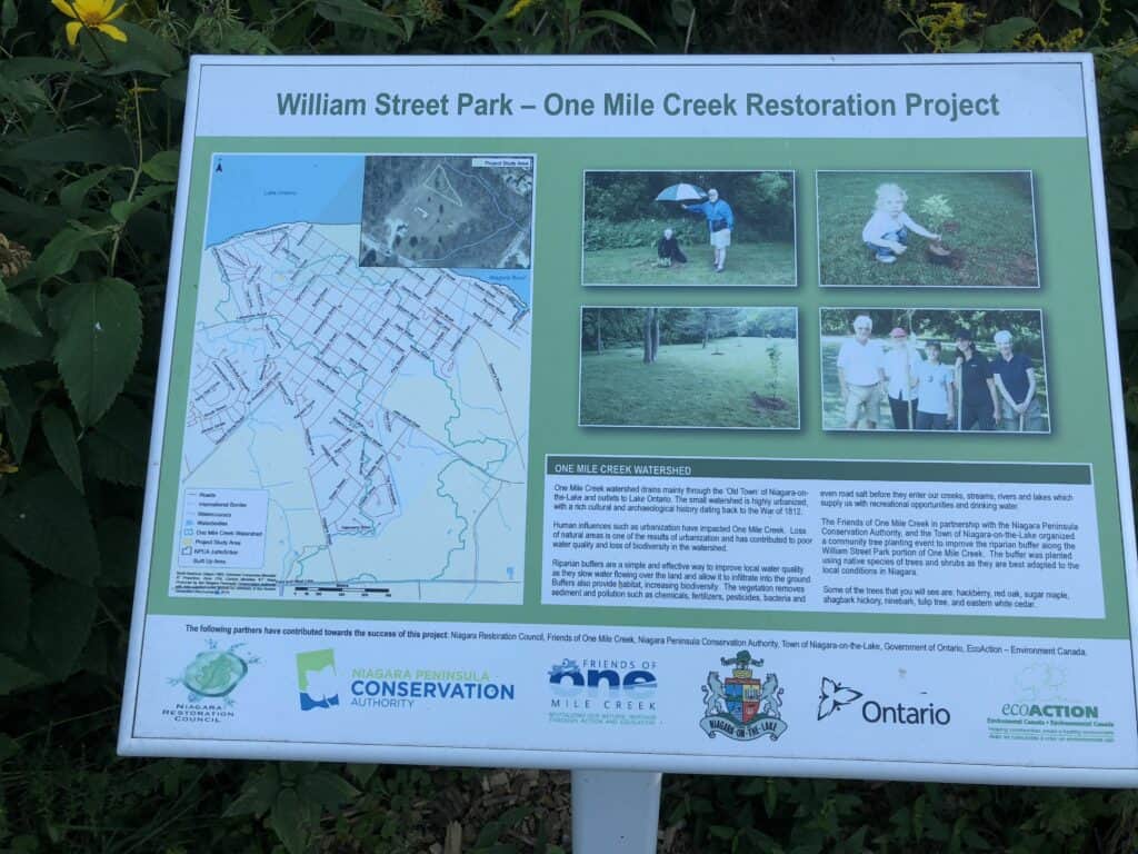 William Street Park interpretive sign shows volunteers in 2012 and explains how natural buffers improve water quality and promote biodiversity.