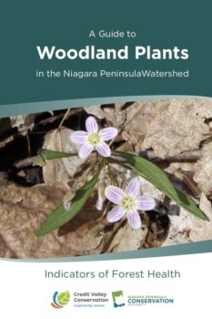 Guide to Woodland Plants